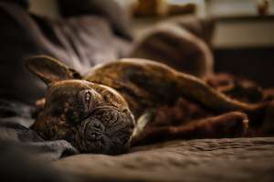 Athos