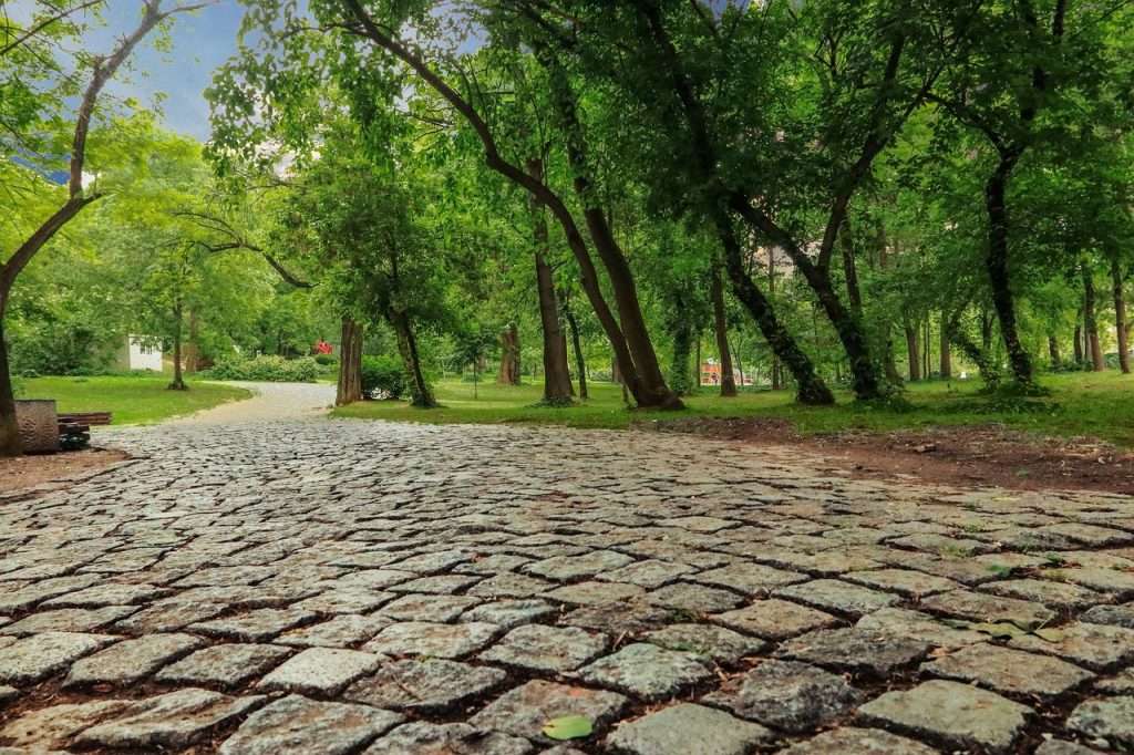 analiza apelor minerale din romania in 2025