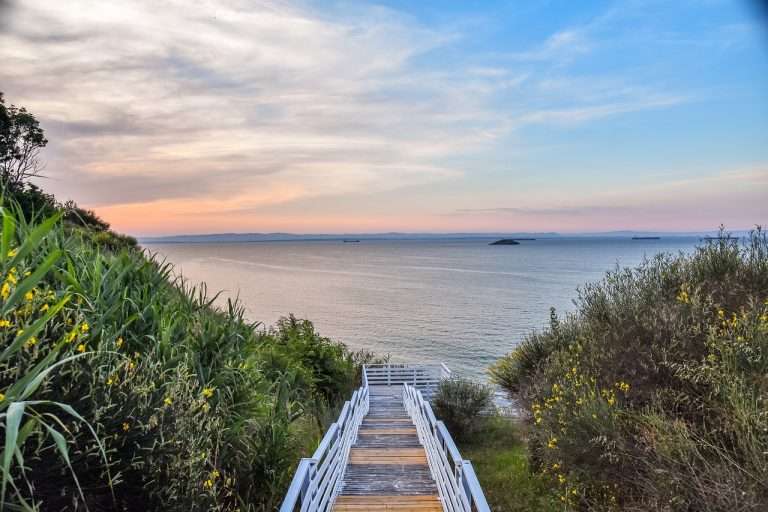 aditivi e110 galben sunset fcf
