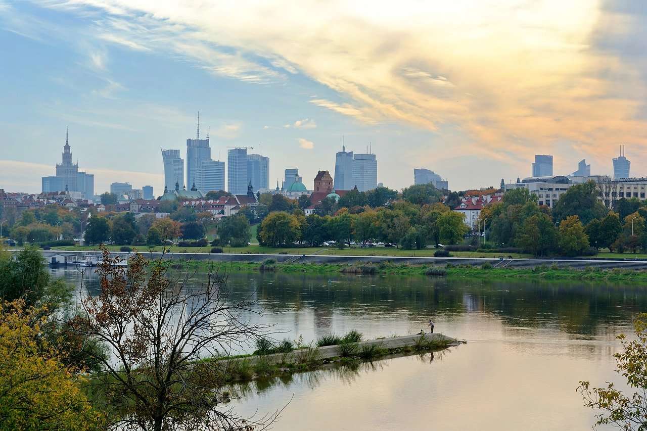 primarie satu mare