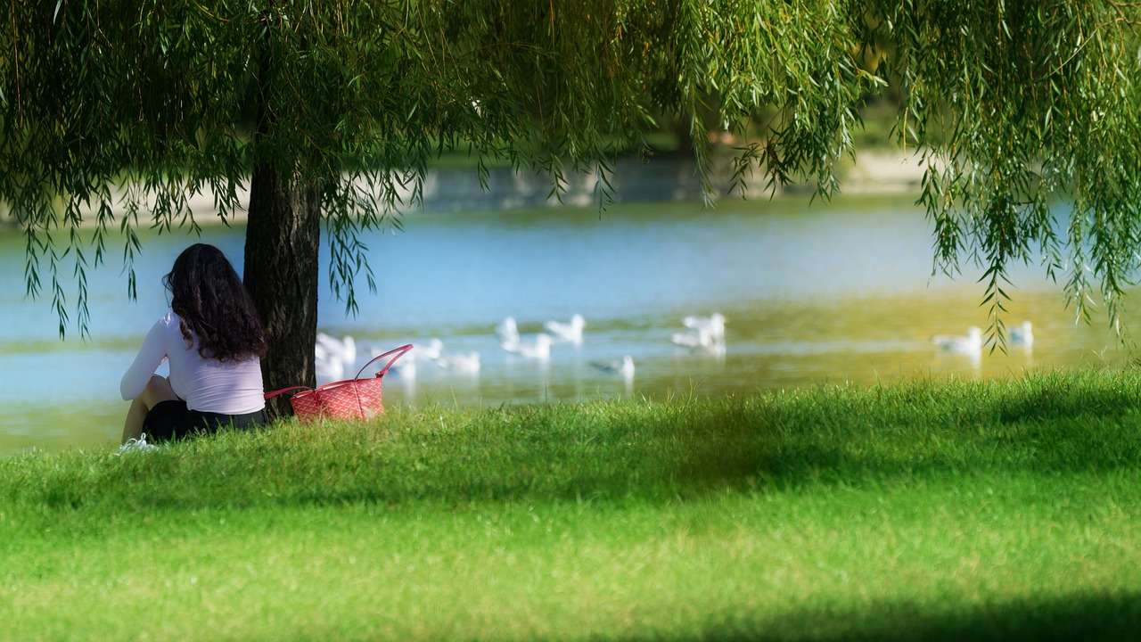 ziua nationala a moldovei