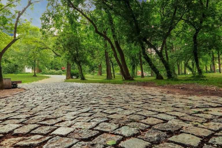 definitie pentru e124