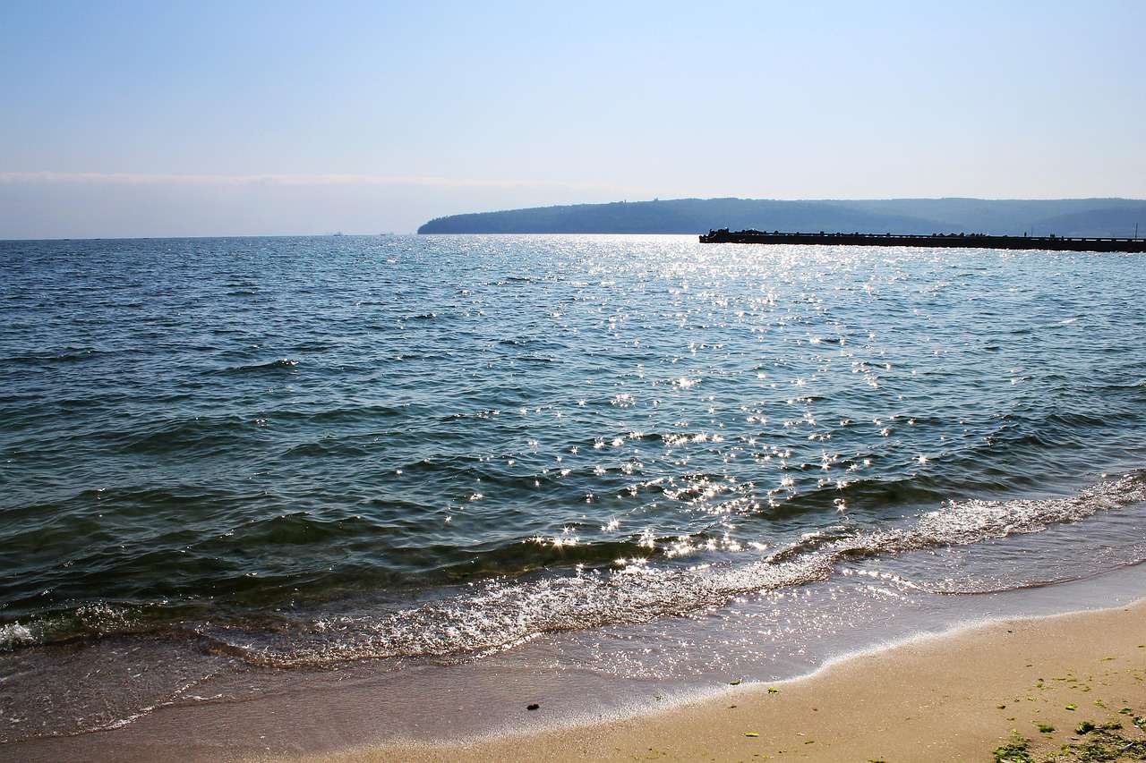 participi la beach please festival 2024 infocons te informeaza in costinesti