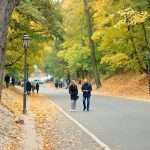 noua zeelanda conditii de calatorie